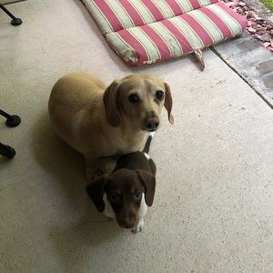 Meet your Posher, Laura